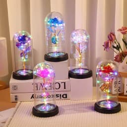 Artificial Glass Flower with Eternal Rose of the LED Light for Women Beauty and Beast Rose Birthday Gifts for Girls Christmas
