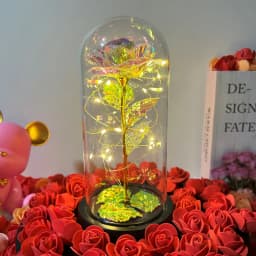 Artificial Glass Flower with Eternal Rose of the LED Light for Women Beauty and Beast Rose Birthday Gifts for Girls Christmas