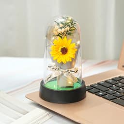 Everlasting Rose LED Glass Dome Bouquet Romantic Illuminated Ornament Perfect Valentine's Day Christmas Home Decor Romantic Gift