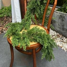 1 piece of Christmas pine wreath, artificial pine wreath, wall hanging type, wall decoration, Christmas decoration item