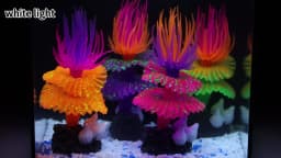 1pc, Fluorescent Sea Worm Coral Ornament, Luminous Aquarium Decoration, Festive Underwater Christmas Tree Design for Stocking St