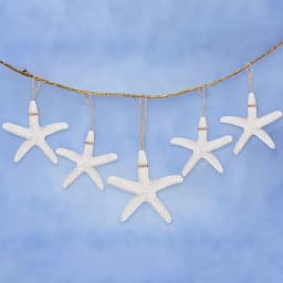 20pcs Versatile Resin Starfish Decorations - Perfect for Weddings, Christmas, Halloween, Easter - Featherless Craft Design