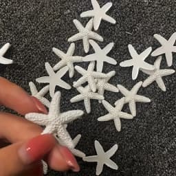 20pcs Versatile Resin Starfish Decorations - Perfect for Weddings, Christmas, Halloween, Easter - Featherless Craft Design