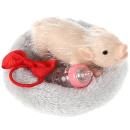 Lifelike Reborn Pig Dolls Mini Soft Silicone Pig Doll Cute Miniature Reborn Pig Doll Kid Birthday Christmas Gifts