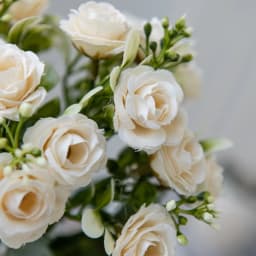 Silk Rose for Wedding Arch Christmas Wreath Decoration Home Room Bonsai Photography Prop Valentine's Day Artificial Fake Flowers