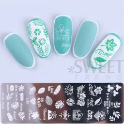 Nail Art Stamping Plate Snowflake Winter Christmas Rose Leaves Butterfly Desgin For Nail Polish Printing Template Tools Supplies