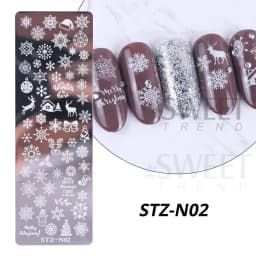 Nail Art Stamping Plate Snowflake Winter Christmas Rose Leaves Butterfly Desgin For Nail Polish Printing Template Tools Supplies