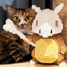 Kawaii Pokemon Marowak Lucario Mimikyu Building Block Piplup Mega Rayquaza Charizard Assembled Mini Brick Toy for Christmas Gift
