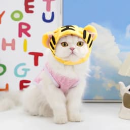 Kitten Funny Hat for Cat Cosplay Dress Up Clothes Cute Pet Hat Photo Prop Universal Puppy Cat Cap for Halloween Christmas Party