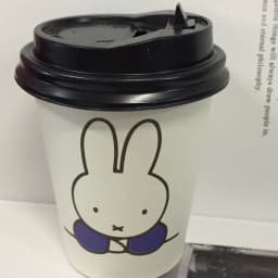 Cute Miffy Kawaii Cartoon Ins Paper Cup Thickening 250ml High Temperature Resistance Disposable Cups Christmas Gift