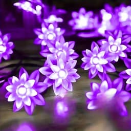 Solar Lotus Flower String Lights, 100/50/20 LED Double Layer Cherry Blossoms Fairy Lights for Garden Fence Patio Yard Christmas