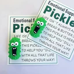 Emotional Support Pickle Hug Card, Funny & Sincere PVC Gift for Mom Friend Teacher, Novelty Present for Birthday Christmas.