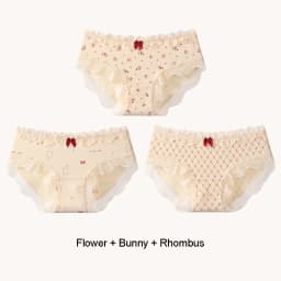 Triangular Panties Set Pack Christmas Day Women Underwear Women's Cotton Briefs Lingerie Sexy Underpants Seamless Lace Intimates
