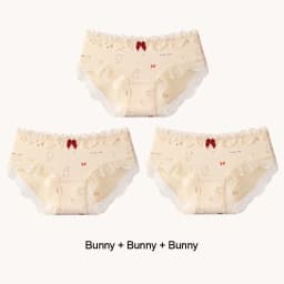 Triangular Panties Set Pack Christmas Day Women Underwear Women's Cotton Briefs Lingerie Sexy Underpants Seamless Lace Intimates