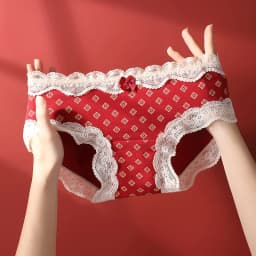 Triangular Panties Set Pack Christmas Day Women Underwear Women's Cotton Briefs Lingerie Sexy Underpants Seamless Lace Intimates