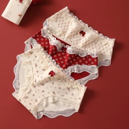 Triangular Panties Set Pack Christmas Day Women Underwear Women's Cotton Briefs Lingerie Sexy Underpants Seamless Lace Intimates