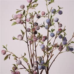 gardening fruit ornaments, long branches with frost, small apples fun plants, Christmas festive flower arrangement customization