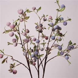 gardening fruit ornaments, long branches with frost, small apples fun plants, Christmas festive flower arrangement customization