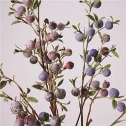 gardening fruit ornaments, long branches with frost, small apples fun plants, Christmas festive flower arrangement customization