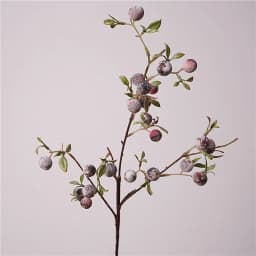 gardening fruit ornaments, long branches with frost, small apples fun plants, Christmas festive flower arrangement customization