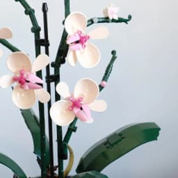 Icons Bouquet of Artificial Flower Orchid Potted Model Building Blocks Adult Plant Series Suitable for Halloween Christmas Gifts
