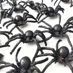 10pcs, Halloween Decorations, Prank, Small and Interesting Realistic Plastic Spider Prank Props,Christmas, Halloween Photo Props