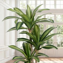 4ft/5ft/6ft Artificial Dracaena Tree in Pot - Realistic Faux Plastic Tropical Floor Plant with Easy Assembly, All-Season Indoor/Outdoor Decor for Home Office Living Room Porch, Housewarming Gift Perfect for Christmas Thanksgiving
