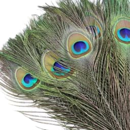 Natural Peacock Feathers DIY Craft Vase Home Decor Wedding Party Decoration Halloween Christmas Costume Performance DIY Art