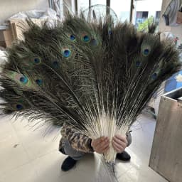 Natural Peacock Feathers DIY Craft Vase Home Decor Wedding Party Decoration Halloween Christmas Costume Performance DIY Art