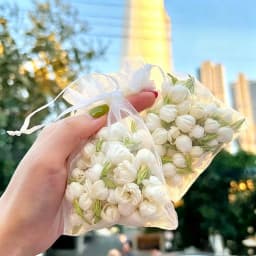 100pcs White Organza Drawstring Gift Pouches Sheer Favor Bags for Jewelry Candy Wedding Christmas Birthday Party Packaging