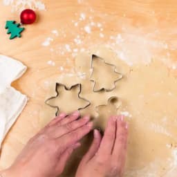 10PC Christmas Cookie Cutter Set-Stainless Steel Biscuit Mould with 10 Shapes for Baking Tools DIY Holiday Cookies for Beginner