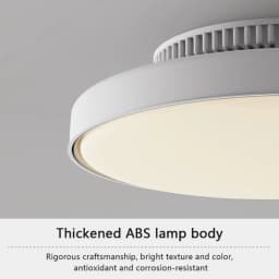 LED Ceiling Fan Lamp with Modern Bladeless Design Quiet Strong Wind Remote Control Adjustable Brightness Household Fan Light