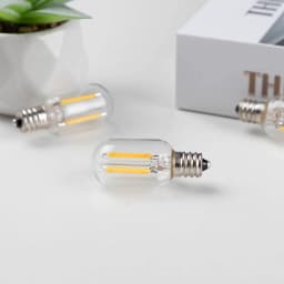 Grensk DC 12V 24V Tubular Bulbs Low Voltage T22 1W Led Filament Bulb E12 Candelabra Base LED Lamp RV Locomotive Room Lights