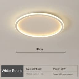 Nordic Minimalist LED Ceiling Light For Bedroom Living Room Aisle Study Room Balcony Circular Remote Control Lighting Chandelier