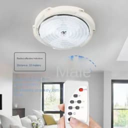 Solar Lights Indoor Home Top Ceiling House Outdoor Garden Pendant Light Panel Lamp Fixture For Corridor Garden Living Room