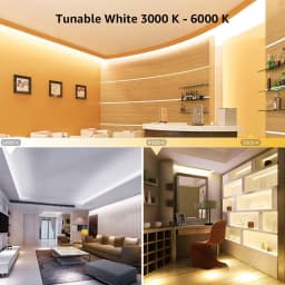 5M/Roll DC 5V 12V 24V LED Dual Color Strip Light 120 180 240 336 LEDs/M 5MM 8MM 12MM Wide PCB Flexible CRI Dimmable CCT Bar Lamp