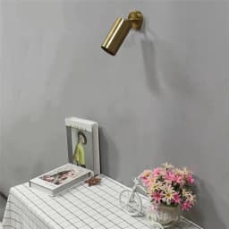 Modern Minimalist Ceiling Lights 360° Rotatable Copper Color LED Ceiling Track Downlight 5W E27 Bulb Replaceable Wall Spot Light