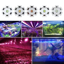 10pcs 1W 3W High Power LED Beads XP-E 3535 XPE Lamp Diode 3.5*3.5mm Full Spectrum Cool Warm White Green Deep Red660nm Royal Blue