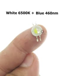 2*3W Bicolor Led Yellow White/Yellow Red/UV White/Red White/White Warm/ All Color Can Custom Produce for DIY Led Light