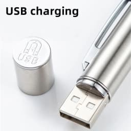 365nm UV Black Light Pen Flashlight USB Charging Money Ore Moldy Food Pet Stains Cat Tinea Leakage Invisible Ink Marker Checker