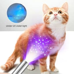 365nm UV Black Light Pen Flashlight USB Charging Money Ore Moldy Food Pet Stains Cat Tinea Leakage Invisible Ink Marker Checker