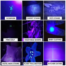 80W 365nm UV Flashlight Ultraviolet Ultra Violets Black Light Torch Pet Moss Detector Cat Dog Stains Bed Bug Moldy Food SV84