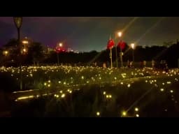 1~2Pcs Solar Garden Lights Firefly Floor Lights Outdoor 6/8/10LED Lights Garden Decorative Ball Lights For Garden Outdoor Decor