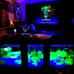 6W USB UV LED Light Blacklight Bar for Body Painting Blacklights Tapestry Poster Glow Party T5 Tube UV Strip Lights for Cabinet