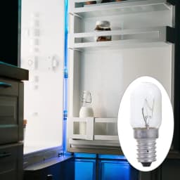2pcs E14 Salt Lamp Bulb Vintage 15W Incandescent Bulbs Clear Glass High Temperature Resistant Salt Crystal Lamp Refrigerator