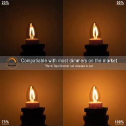 E12 E14 1W Chandelier Candle Light Bulbs Low Wattage C7 Dimmable Amber Glass Edison Small Lamp Bulb For Party Patio Indoor Decor