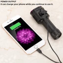 2in1 20W UV+White Light High Power Flashlight 365nm USB Charging Blacklight Money Ore Pet Stains Leakage Marker Detector Lamp