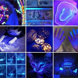 2in1 20W UV+White Light High Power Flashlight 365nm USB Charging Blacklight Money Ore Pet Stains Leakage Marker Detector Lamp