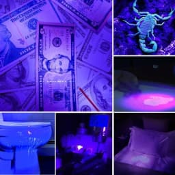 Black Light Flashlight 395nm UV Flashlight Ultraviolet Waterproof Flashlights Detector for Pets Dog Urine and Stains