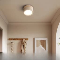 Corridor Lamp Walnut Ceiling Lights Ash Wood LED Lights for Room Living Room Spotlights Porch Light Home Decor Lighting
